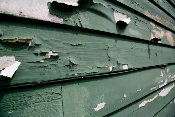Best Foreclosure Cleanout  in Timberne, LA
